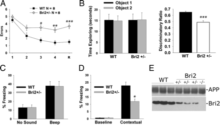 Memory Deficits Due to Familial British Dementia BRI2 Mutation Are ...