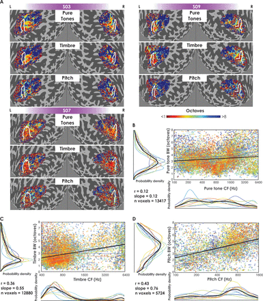 Distinct Representations of Tonotopy and Pitch in Human Auditory Cortex ...
