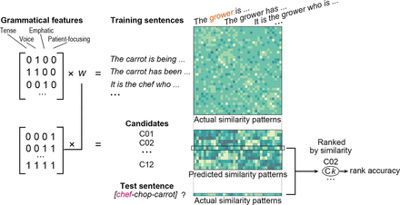 How Grammar Conveys Meaning: Language-Specific Spatial Encoding ...