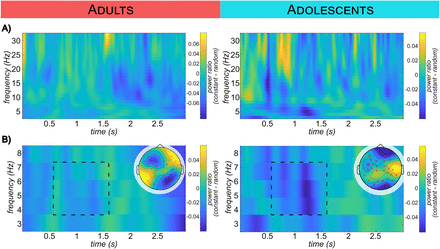 Directed Neural Network Dynamics in Sensorimotor Integration