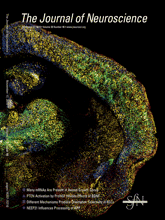 Prefrontal and Medial Temporal Lobe Activity at Encoding Predicts ...