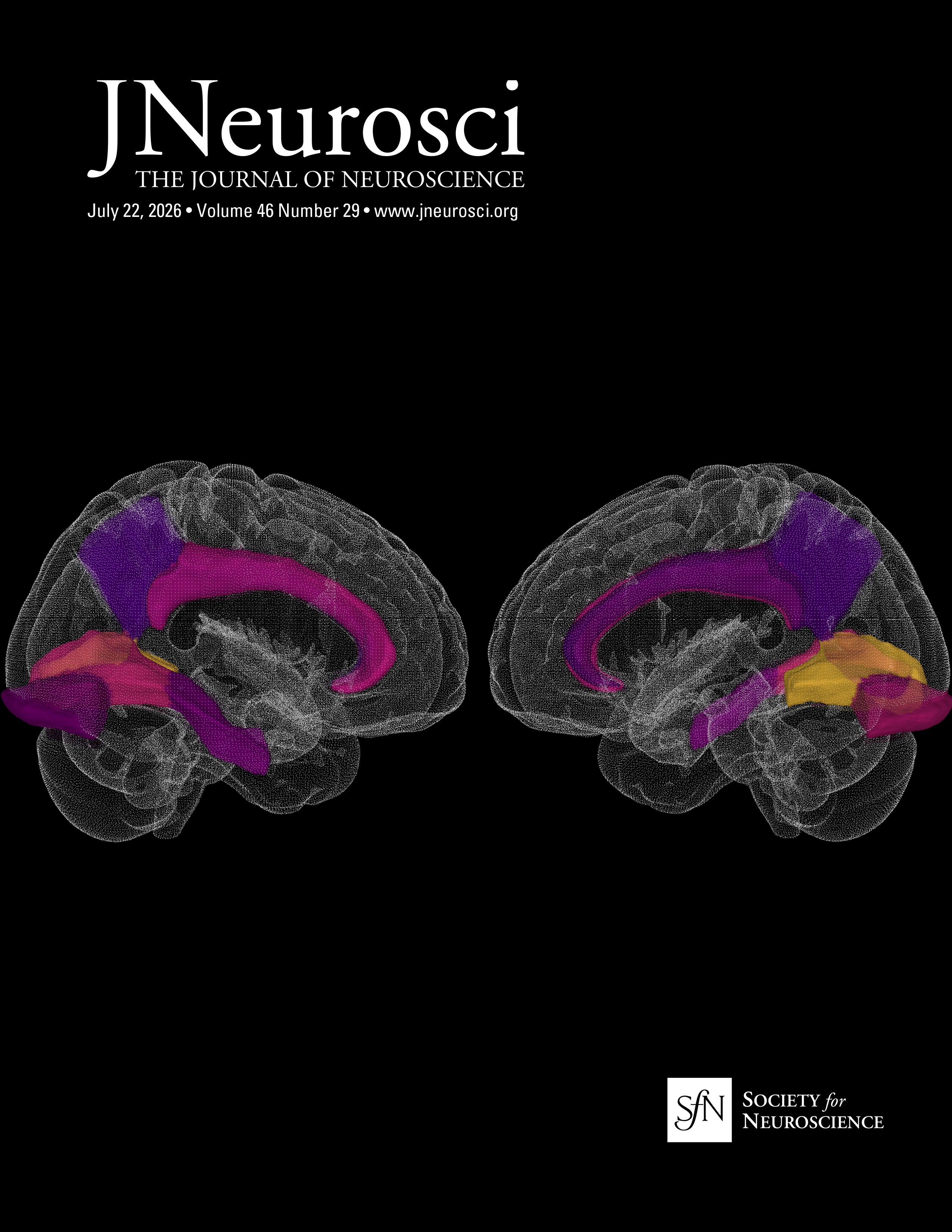 My Fifty Years Thinking about Emotional Consciousness in the Brain ...