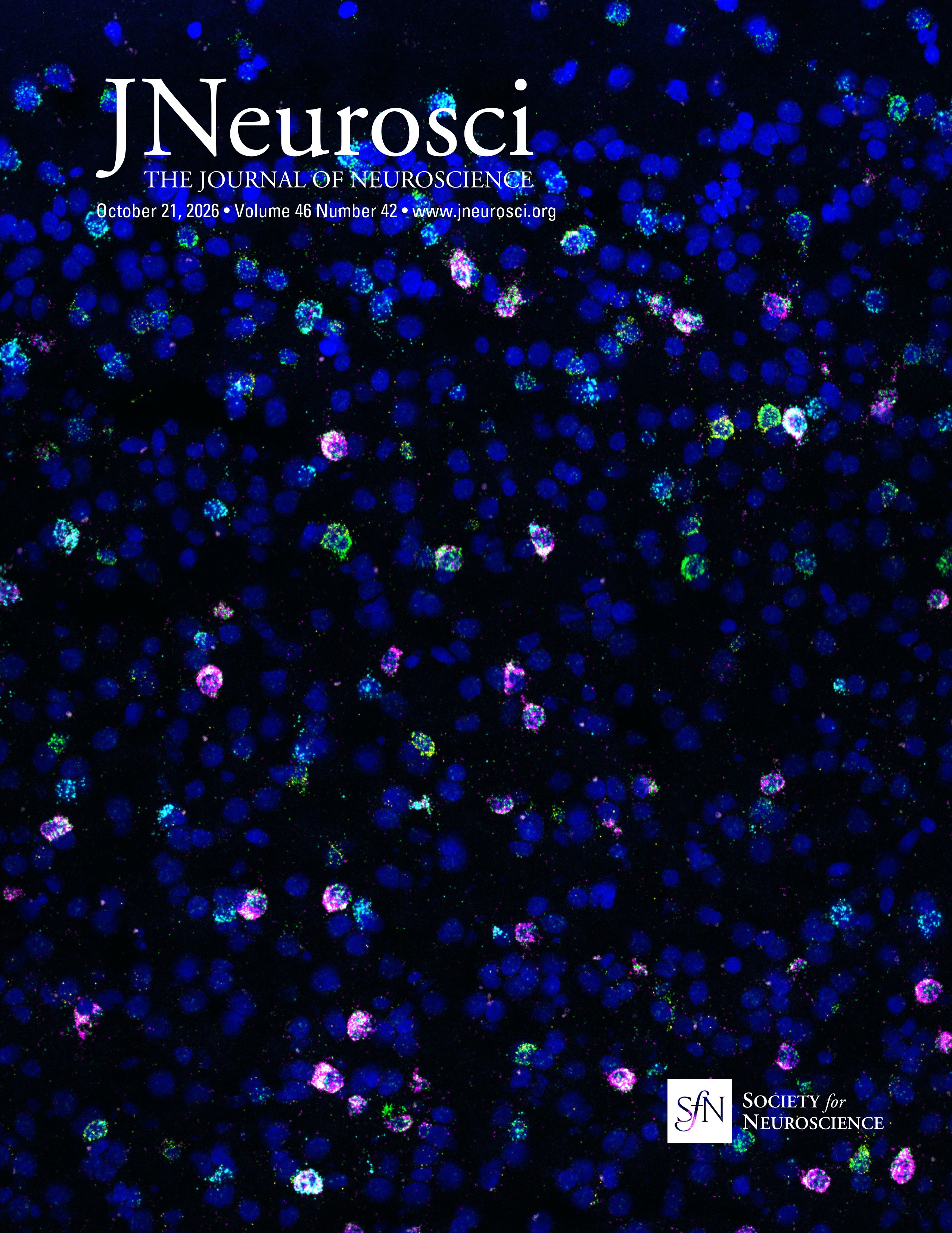 Encoding of Natural Variability in a Dexterous Motor Skill over ...