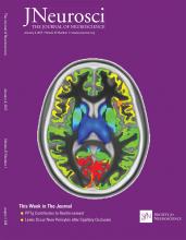LHX2 Interacts with the NuRD Complex and Regulates Cortical Neuron